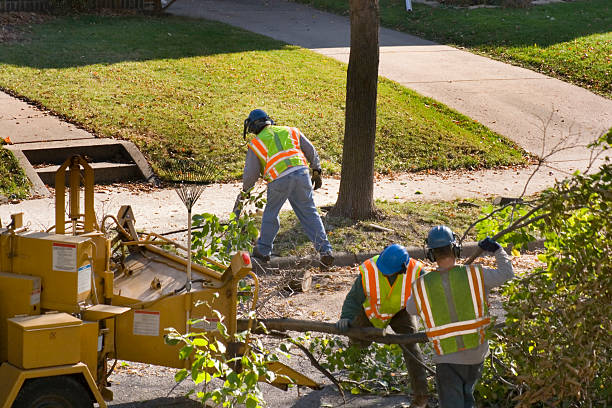 Best Lawn Mowing Services  in Baton Rouge, LA